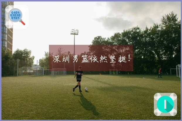 深圳男篮依然坚挺！